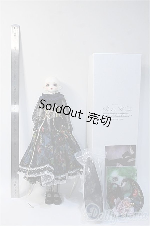 画像7: PEAKS WOODS/FOB V・Lady Bee Y-24-10-23-240-TN-ZY (7)