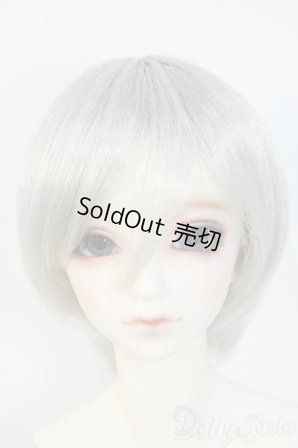 画像1: SDGrB/フルチョイス Y-25-06-11-234-TN-ZY (1)