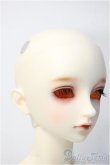 画像2: SDGrB/フルチョイス Y-25-02-26-125-TN-ZY (2)