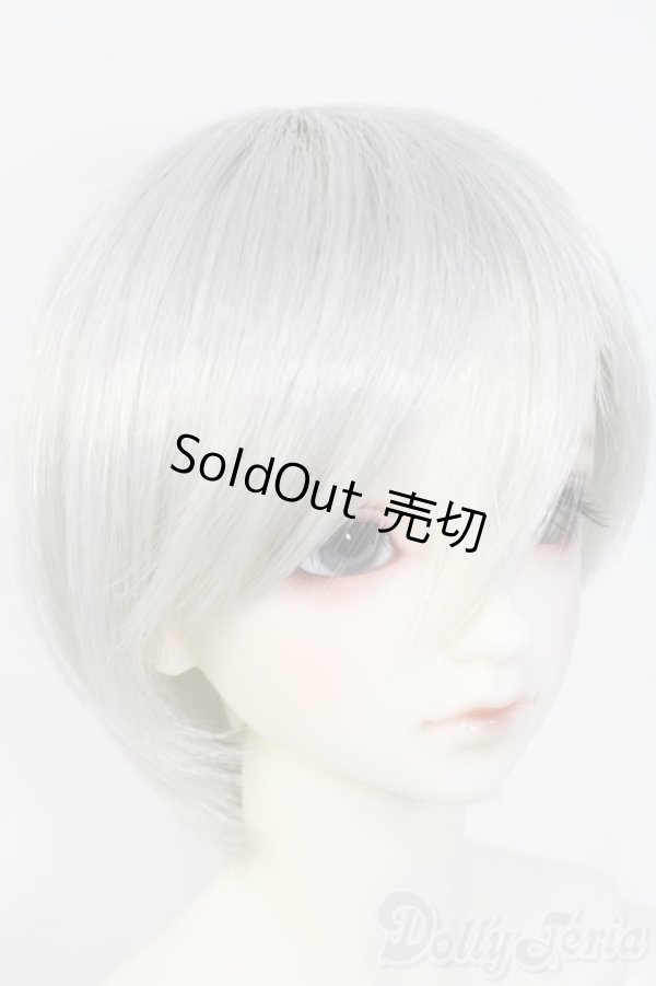 画像2: SDGrB/フルチョイス Y-25-06-11-234-TN-ZY (2)