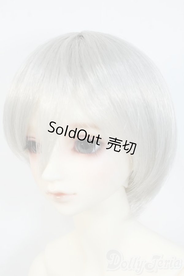 画像3: SDGrB/フルチョイス Y-25-06-11-234-TN-ZY (3)