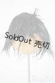 画像: 8-9inch/ウィッグ/インチ　BJD　MJD　ドール用 A-25-10-22-384-YD-ZA