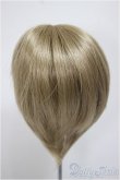 画像2: 9-10inch/ウィッグ/インチ　BJD　MJD　ドール用 A-25-08-13-388-YD-ZA (2)