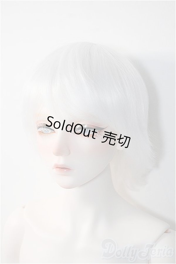 画像3: RSDOLL/NEW EVAN Y-25-06-18-301-YD-ZY (3)