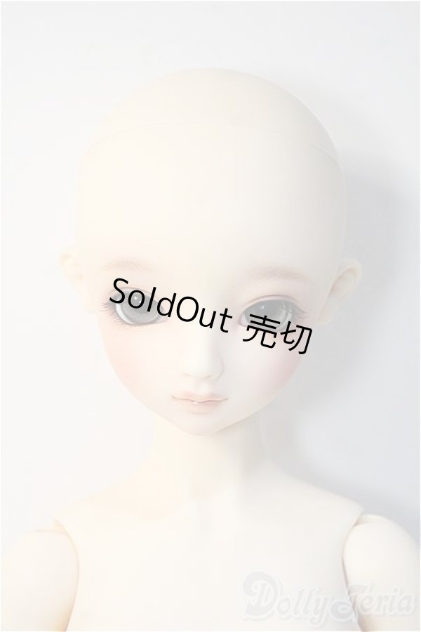 画像6: SD/スタンダードモデル：ニコ Y-24-11-27-292-YD-ZY (6)