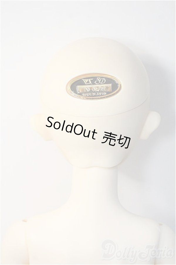 画像7: SD/スタンダードモデル：ニコ Y-24-11-27-292-YD-ZY (7)