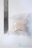 画像2: angelphilia/外皮ボディパーツ：上胴/ A-25-03-05-379-YD-ZA (2)