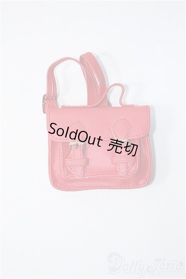 画像1: SD/OF：バッグ Y-25-05-28-239-YD-ZY (1)