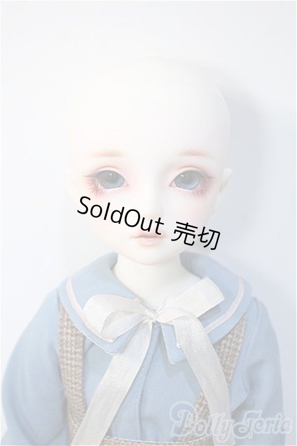 画像6: SDM/コーディネートモデル:F-61 Y-24-11-27-291-TN-ZY (6)