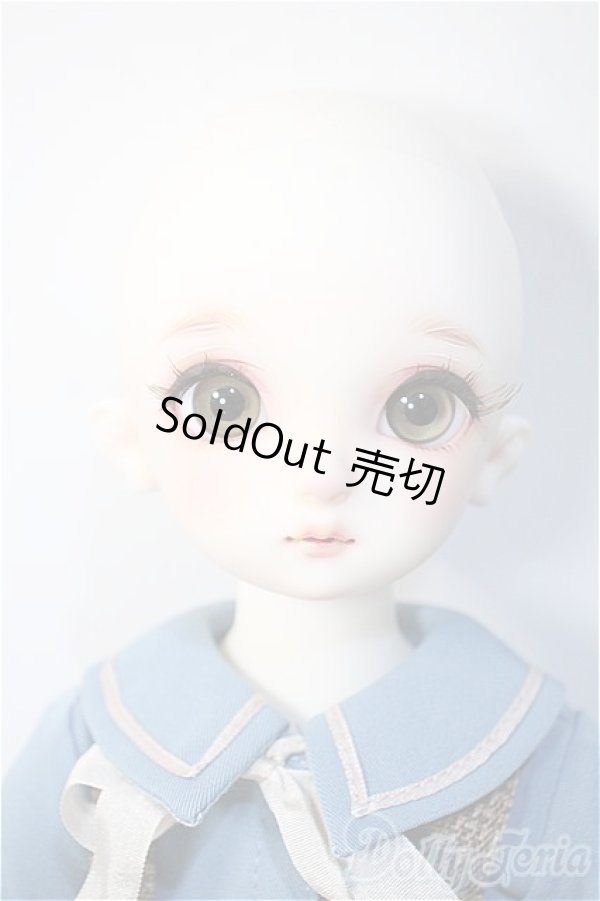 画像6: SDM/コーディネートモデル:F-60 Y-24-11-27-294-TN-ZY (6)