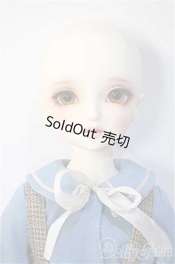 画像6: SDM/コーディネートモデルF-45 Y-24-11-27-295-TN-ZY (6)