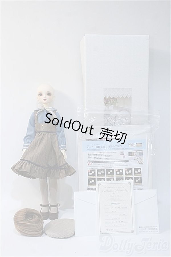 画像8: SDM/コーディネートモデルF-45 Y-24-11-27-295-TN-ZY (8)