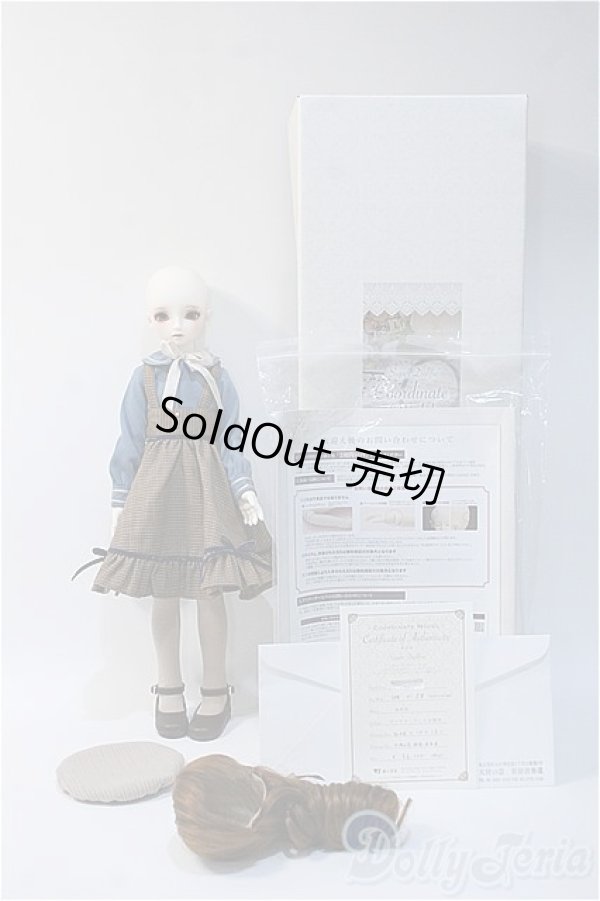 画像8: SDM/コーディネートモデルF-58 Y-24-11-27-296-TN-ZY (8)