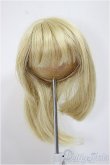 画像1: 9-10inch/ウィッグ/インチ　BJD　MJD　ドール用 A-25-08-13-386-TN-ZA (1)