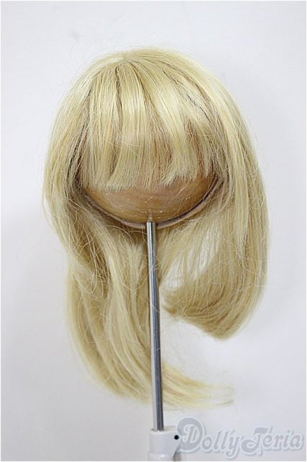 画像1: 9-10inch/ウィッグ/インチ　BJD　MJD　ドール用 A-25-08-13-386-TN-ZA (1)