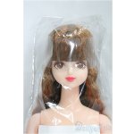 画像: キャッスル/サヤカ:おたのしみドール/BJD　球体関節人形 I-25-09-14-093-YD-ZI