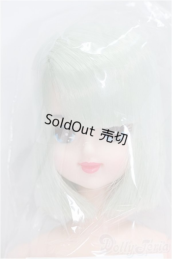 画像1: ジェニー/キャッスル　ユリーシア/BJD　球体関節人形 I-25-09-14-091-YD-ZI (1)