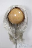 画像1: 9-10inch/ウィッグ/インチ　BJD　MJD　ドール用 A-25-08-20-171-YD-ZA (1)