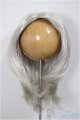 画像: 9-10inch/ウィッグ/インチ　BJD　MJD　ドール用 A-25-08-20-171-YD-ZA