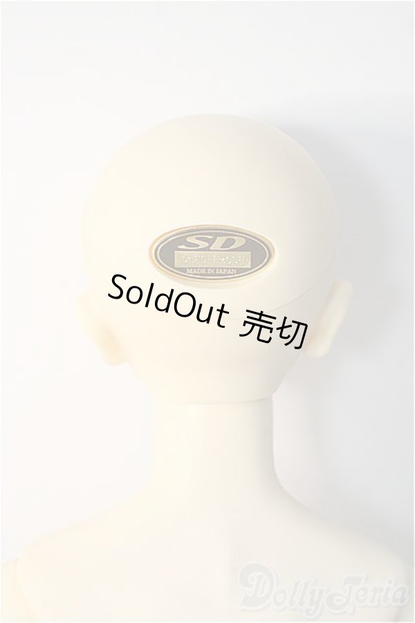 画像7: SDGrBoy/ワンオフ:28番ヘッド(遠夜) Y-25-02-12-299-YD-ZY (7)