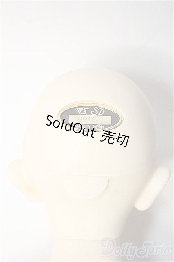 画像4: SD17男の子/レイズナー〜The Shadow of Captain II〜 Y-25-02-12-178-YD-ZY (4)