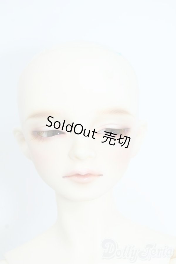 画像5: SDGr/アーニー 星間学寮ver. Y-25-09-03-296-YD-ZY (5)