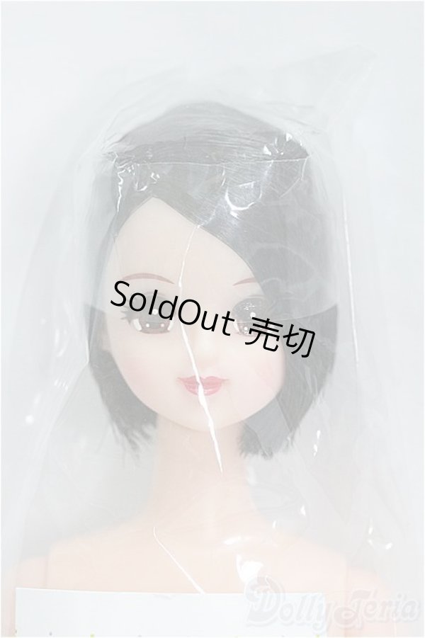 画像1: キャッスル/おたのしみドールG/BJD　球体関節人形 I-25-09-14-090-YD-ZI (1)