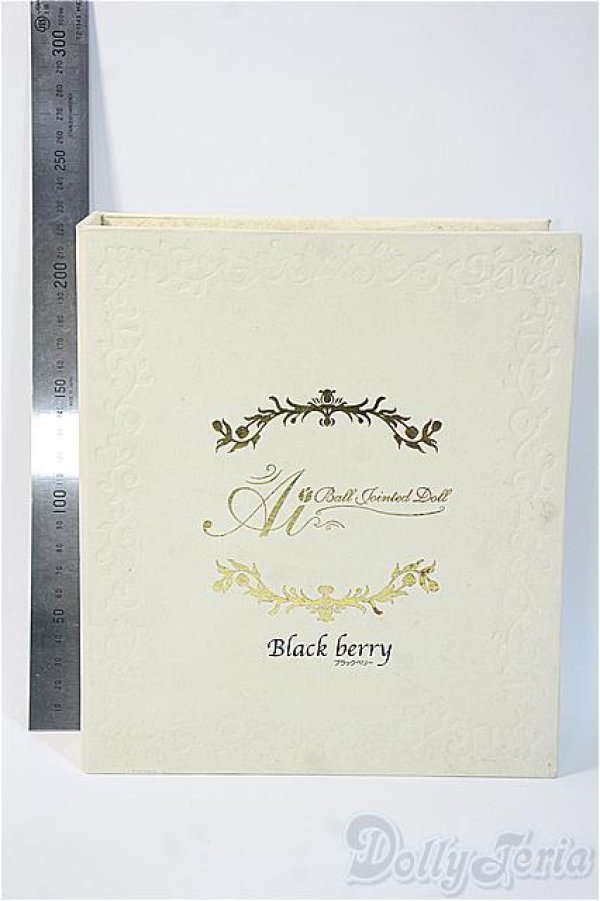 画像3: 球体関節人形愛/本体/ A-25-06-25-420-YD-ZA (3)