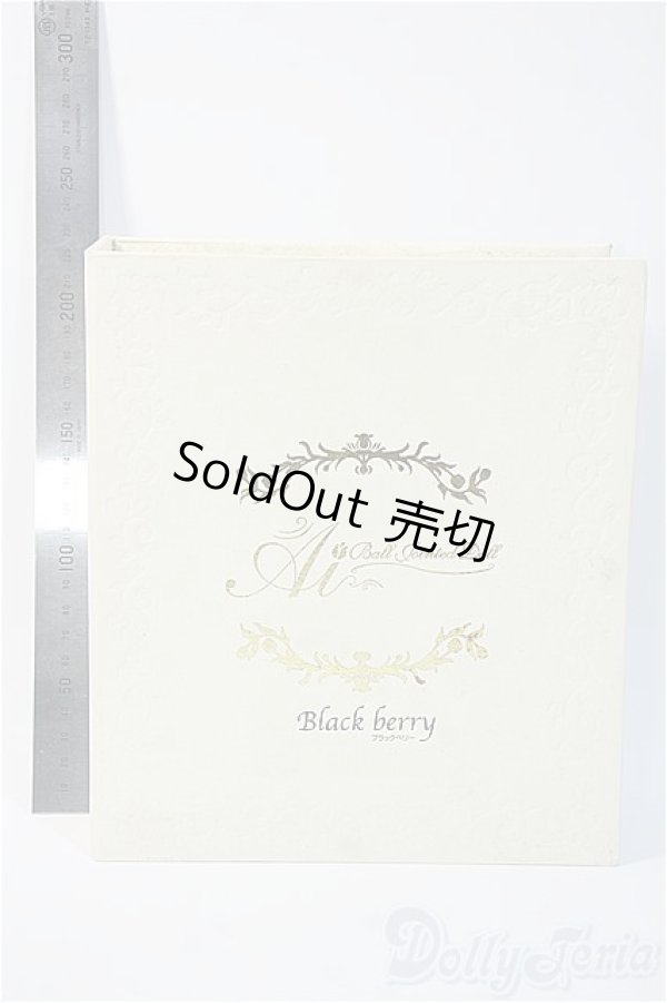 画像3: 球体関節人形愛/本体/ A-25-06-25-420-YD-ZA (3)