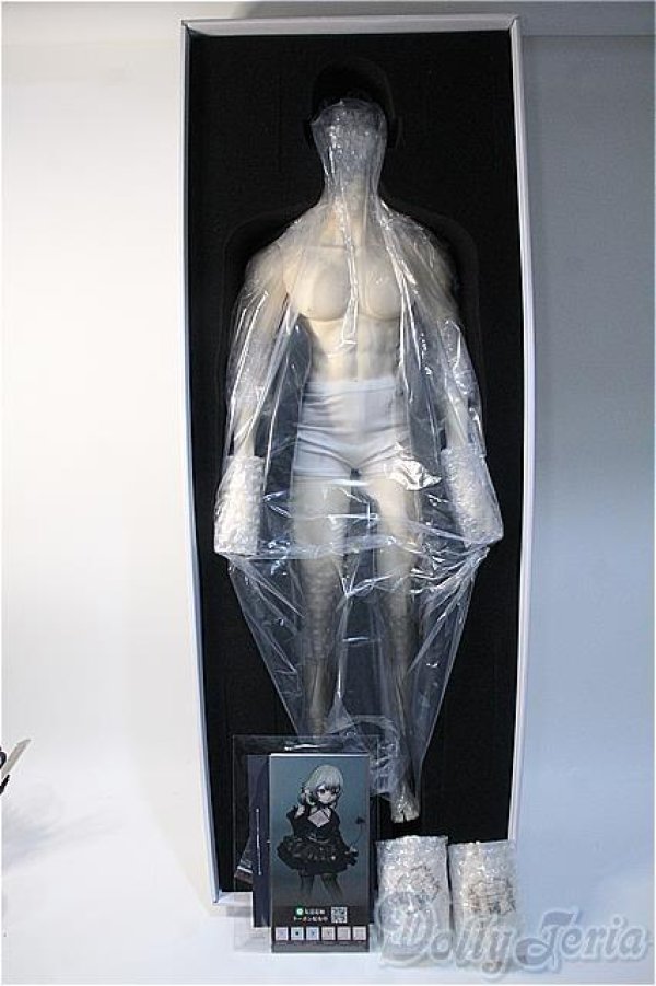 画像1: DikaDoll/75ｃｍ：男の子/BJD　球体関節人形 A-25-03-05-355-YD-ZA (1)