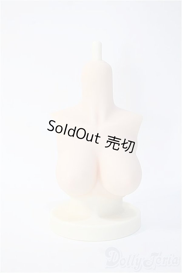 画像1: MDD/ラジカル様 MDDL胸 Y-25-02-12-189-YD-ZY (1)