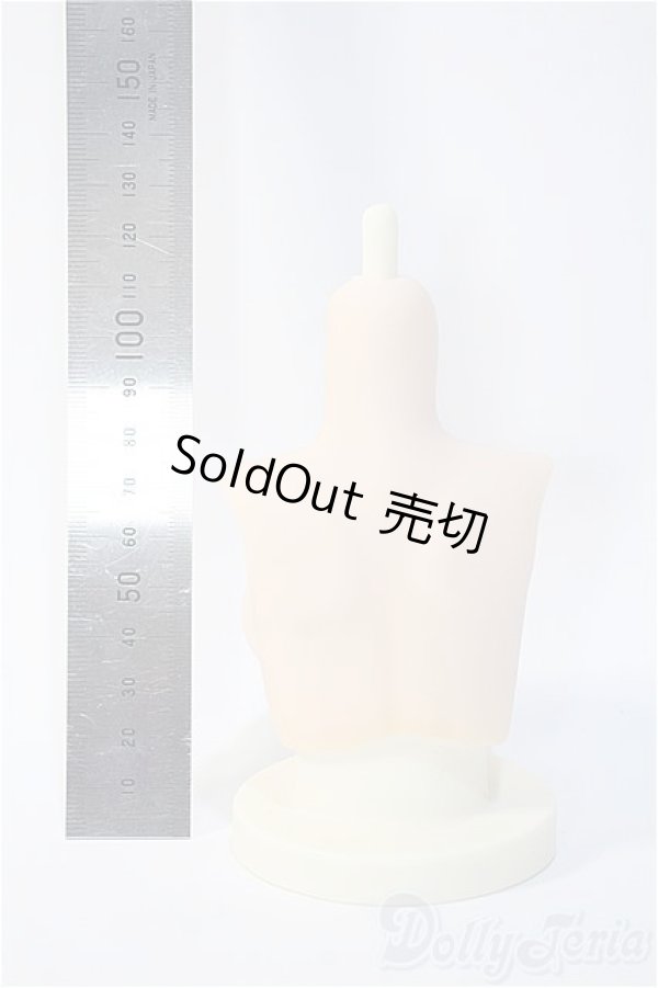 画像2: MDD/ラジカル様 MDDL胸 Y-25-02-12-189-YD-ZY (2)