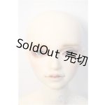 画像: SD17BOY/マクシミリアン:星間学寮Ver. Y-25-02-19-238-TN-ZY
