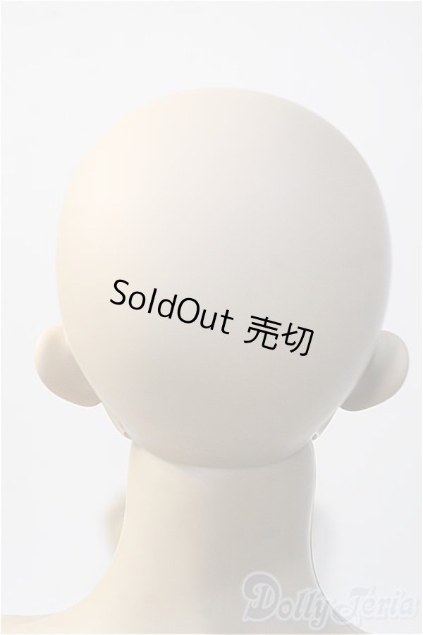 画像4: LUTS/Grand Senior Delf ABADON Y-25-02-19-237-YD-ZY (4)