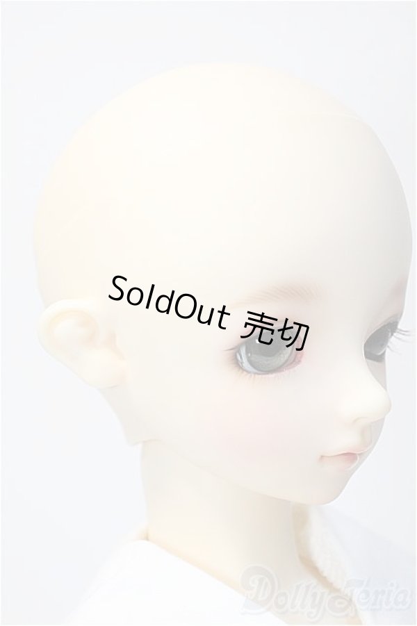 画像3: SD女の子/ニコ スタンダードモデル Y-25-02-26-124-TN-ZY (3)