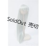 画像: 9-10inch/ウィッグ Y-25-02-19-250-YD-ZY