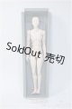 画像: 30ｃｍ級/可動ボディ Y-25-02-26-191-YD-ZY