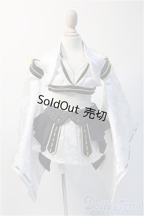 画像1: SD〜13G/OF:月の衣　あやめ Y-25-02-26-142-YD-ZY (1)