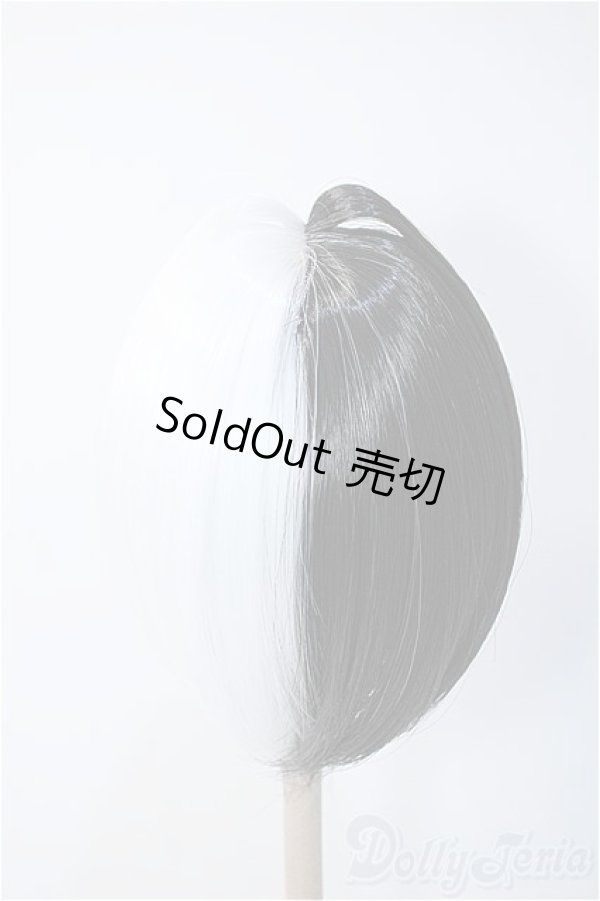 画像2: 9inch/ウィッグ Y-25-02-26-236-YD-ZY (2)