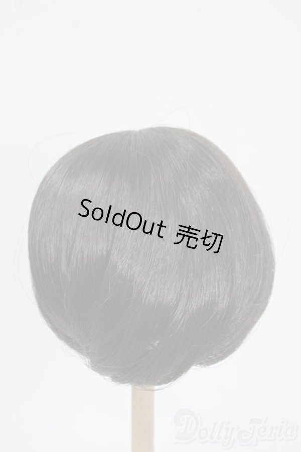 画像2: 8-9inch/ウィッグ Y-25-12-17-174-YD-ZY (2)