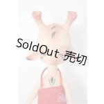 画像: Dream Valley/Fuku/BJD　球体関節人形 A-25-10-29-367-TN-ZA