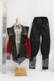 画像10: Ringdoll/Ashford 3.0 I-26-10-01-065-YD-ZI (10)