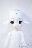 画像6: キノコジュース/パウダー Y-25-03-12-024-YD-ZY (6)