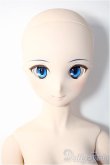 画像2: DD/シエル　月姫 -A piece of blue glass moon- Y-25-03-12-025-YD-ZY (2)