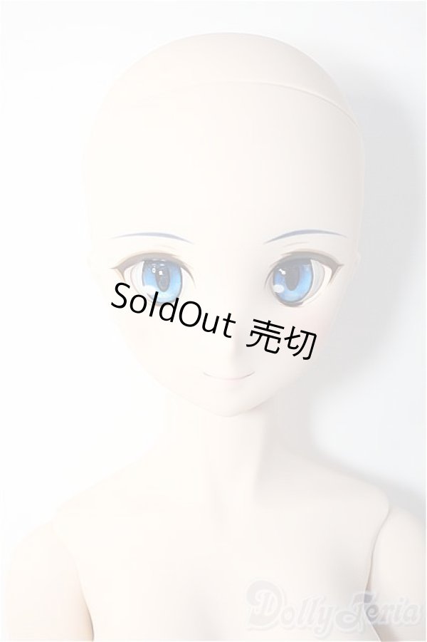 画像2: DD/シエル　月姫 -A piece of blue glass moon- Y-25-03-12-025-YD-ZY (2)