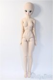 画像3: DD/シエル　月姫 -A piece of blue glass moon- Y-25-03-12-025-YD-ZY (3)