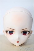 画像1: DD/DDH-10:カスタムメイクヘッド Y-25-03-19-072-YD-ZY (1)