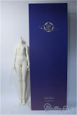 画像3: XAGADOLL/1/3 Girl Body(X-F-54) Y-25-03-19-081-YD-ZY (3)
