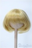 画像1: 6-7inch/ウィッグ Y-25-03-19-024-YD-ZY (1)