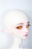 画像3: Angell Studio/Claudia Fullset Y-25-03-19-082-YD-ZY (3)